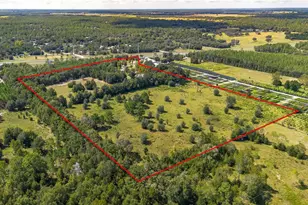 13371 NE Hwy 27 Alt, Williston, FL 32696 - Photo 53