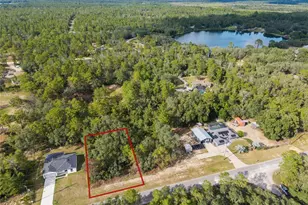 109 Fisher Way, Ocklawaha, FL 32179 - Photo 99