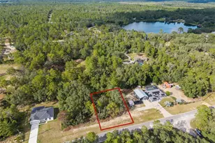Tbd Fisher Way, Ocklawaha, FL 32179 - Photo 1