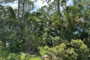 23 Brooklyn Ln, Palm Coast, FL 32137 - Photo 1