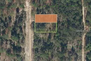 SW 57th Ave, Interlachen, FL 32148 - Photo 1