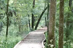 13879 SW 101st St, Dunnellon, FL 34432 - Photo 47