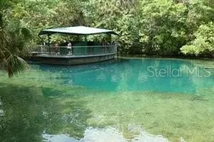 13879 SW 101st St, Dunnellon, FL 34432 - Photo 45