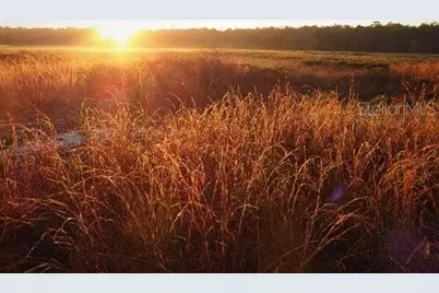 13879 SW 101st Street, Dunnellon, FL 34432 - Photo 21