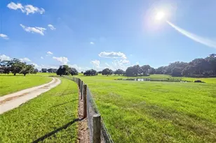 23220 NW 27 St, Morriston, FL 32668 - Photo 41
