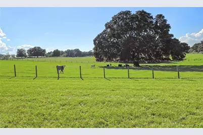 23220 NW 27th St, Morriston, FL 32668 - Photo 33