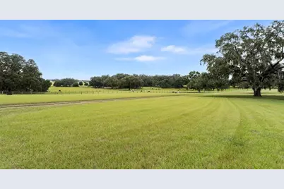 23220 NW 27th St, Morriston, FL 32668 - Photo 5