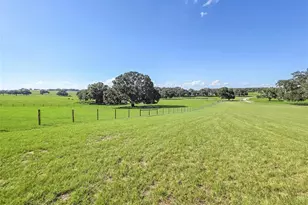 23220 NW 27 St, Morriston, FL 32668 - Photo 35