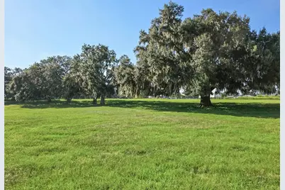 23220 NW 27th St, Morriston, FL 32668 - Photo 3