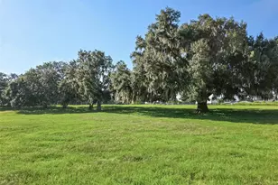 23220 NW 27 St, Morriston, FL 32668 - Photo 3