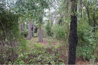 00 NW Beuna Vista Road, Dunnellon, FL 34431 - Photo 1