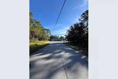 Tbd Hemlock Loop Drive, Ocala, FL 34472 - Photo 5