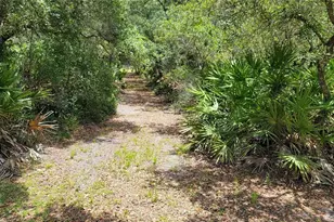 3690 SE 54th Ave, Morriston, FL 32668 - Photo 13