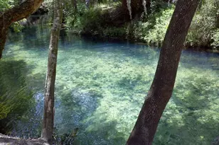 3690 SE 54th Ave, Morriston, FL 32668 - Photo 27