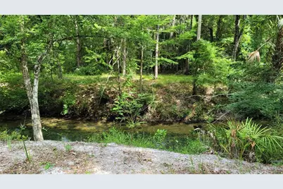 3690 SE 54th Avenue, Morriston, FL 32668 - Photo 1