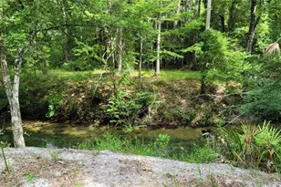 3690 SE 54th Ave, Morriston, FL 32668 - Photo 1