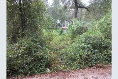 Se 1 Ln, Silver Springs, FL 34488 - Photo 5