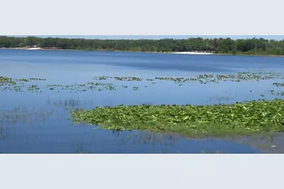 Se 1 Ln, Silver Springs, FL 34488 - Photo 39