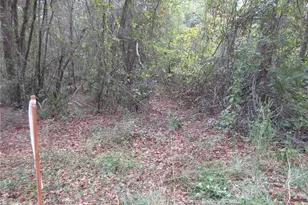 SE 1 Ln, Silver Springs, FL 34488 - Photo 1