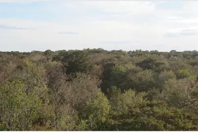 Se 1 Ln, Silver Springs, FL 34488 - Photo 11