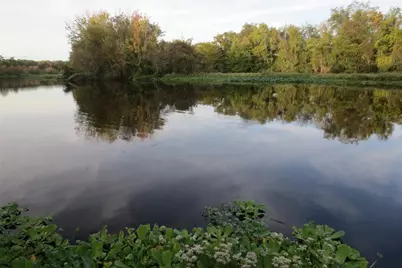 Se 1 Ln, Silver Springs, FL 34488 - Photo 27