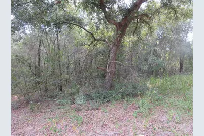 Se 1 Ln, Silver Springs, FL 34488 - Photo 3