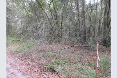 Se 1 Ln, Silver Springs, FL 34488 - Photo 5