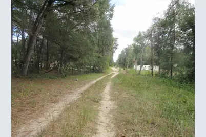 Se 1 Ln, Silver Springs, FL 34488 - Photo 7