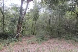 SE 1 Ln, Silver Springs, FL 34488 - Photo 1