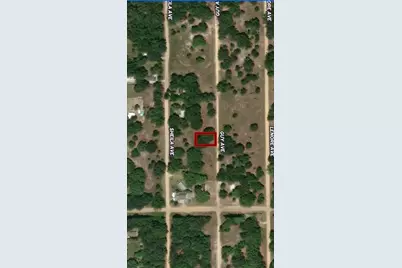 Lot 24 Guy Avenue, Interlachen, FL 32148 - Photo 1