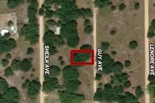 Lot 24 Guy Ave, Interlachen, FL 32148 - Photo 1