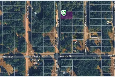 Lot 3 Janet Avenue, Interlachen, FL 32148 - Photo 3