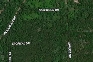 131 Garrison Ave, Georgetown, FL 32139 - Photo 1