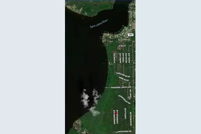 131 Garrison Avenue, Georgetown, FL 32139 - Photo 3