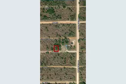 Lot 46 & 46 Maple Drive, Interlachen, FL 32148 - Photo 1