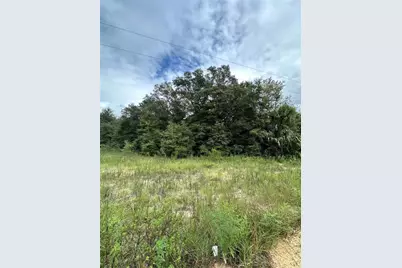 00 Kin Street, Interlachen, FL 32148 - Photo 11