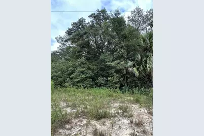 00 Kin Street, Interlachen, FL 32148 - Photo 3