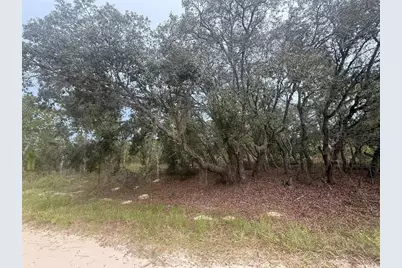 Tbd SW 89th St Lot 3 E 1/2, Dunnellon, FL 34432 - Photo 3