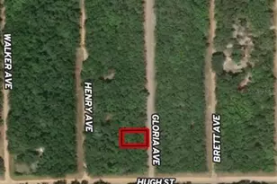 Lot 20 Gloria Ave, Interlachen, FL 32148 - Photo 1