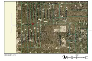 0 NW Tree Top Rd, Dunnellon, FL 34431 - Photo 1