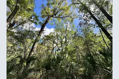 Tbd SW 5th Lane, Ocala, FL 34481 - Photo 9