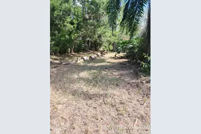 24839 NE 130th Street, Fort Mc Coy, FL 32134 - Photo 19