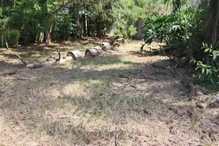 24839 NE 130th St, Fort Mc Coy, FL 32134 - Photo 19