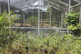 24839 NE 130th St, Fort Mc Coy, FL 32134 - Photo 15