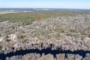 3964 288th St, Branford, FL 32008 - Photo 35