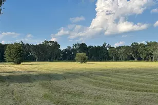 Tbd NW 100th Ave, Ocala, FL 34482 - Photo 1