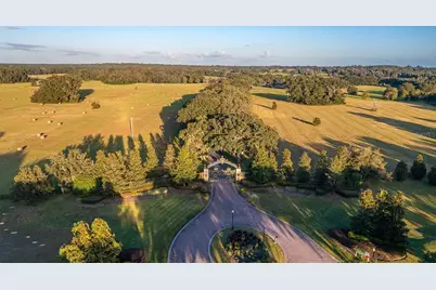 Tbd SE 8th Avenue #Lot 306, Ocala, FL 34480 - Photo 3