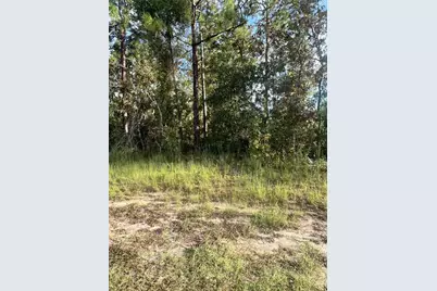 Hemlock Trl, Ocala, FL 34472 - Photo 1