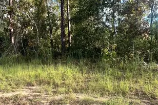 Hemlock Trail, Ocala, FL 34472 - Photo 1