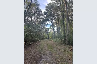 6661 E Turner Camp Road, Inverness, FL 34453 - Photo 3